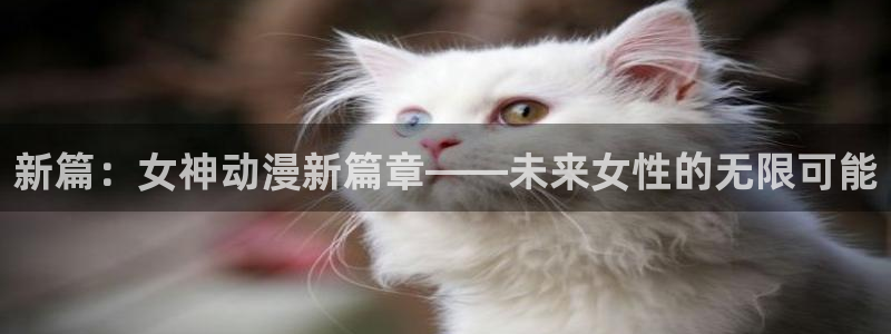 动漫岛游戏