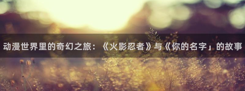 动漫岛最新