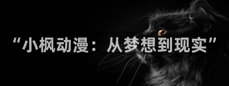 风车动漫岛