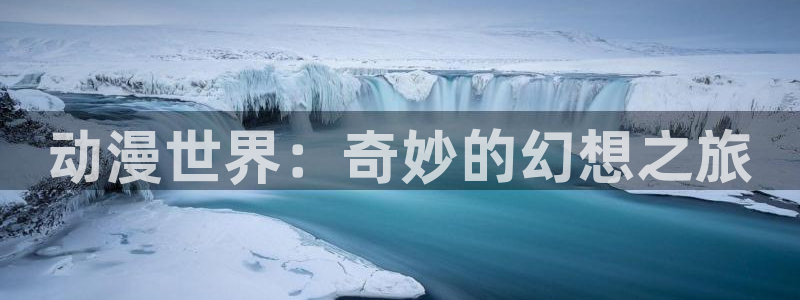 动漫岛网官网