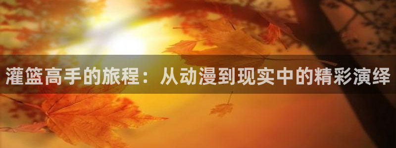 出包王女动漫岛