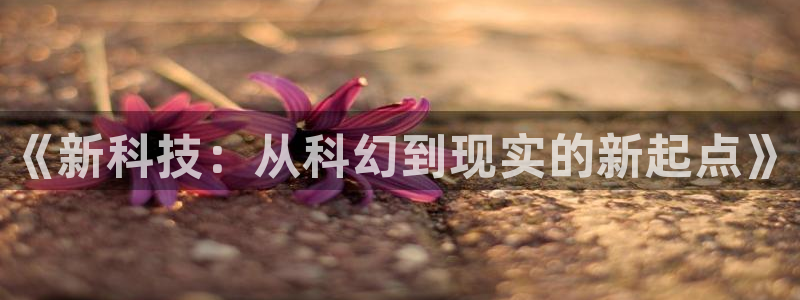 出包王女动漫岛